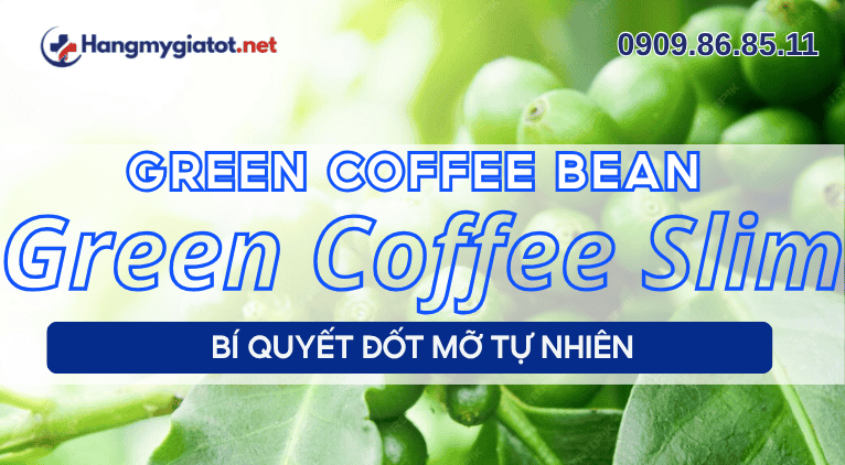 Green Coffee Bean trong Green Coffee Slim bí quyết đốt mỡ tự nhiên