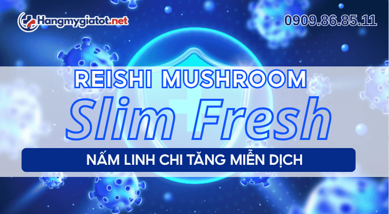 Reishi Mushroom trong Slim Fresh nấm linh chi tăng miễn dịch