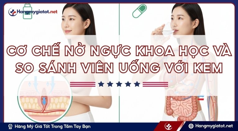 Cơ chế nở ngực khoa học và so sánh viên uống với kem
