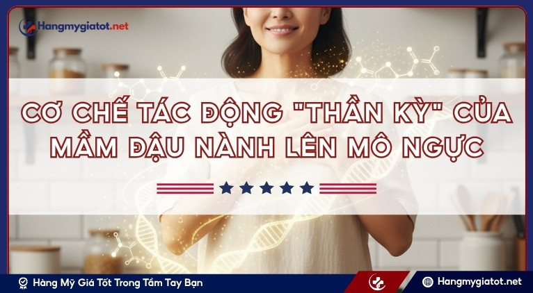 Cơ chế tác động "thần kỳ" của mầm đậu nành lên mô ngực