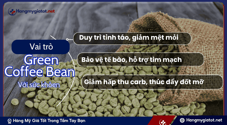 Vai trò và lợi ích của Green Coffee Bean với cơ thể