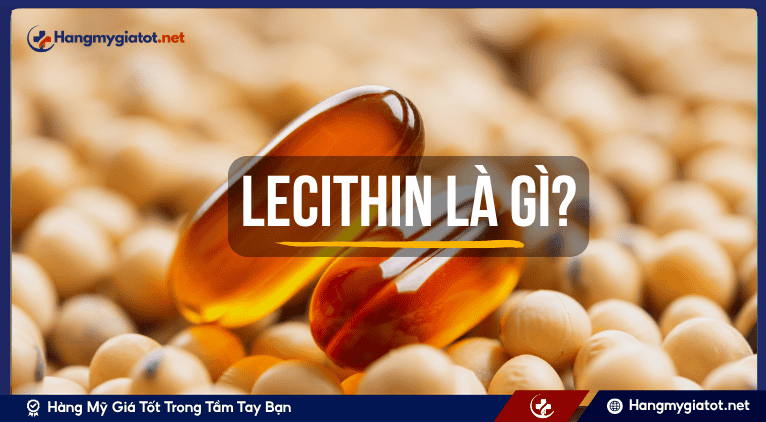 Lecithin là gì? 