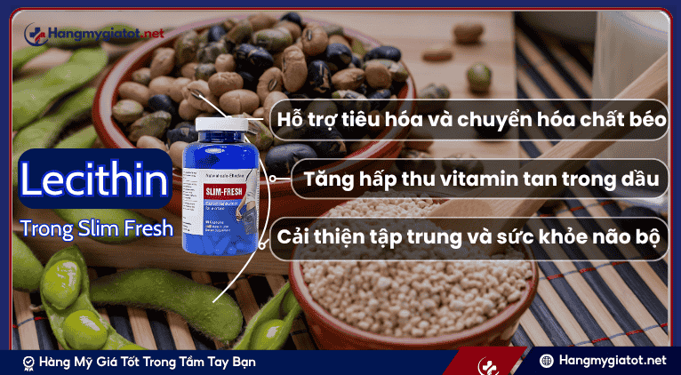 Lecithin và Vai trò trong Công Thức Slim Fresh
