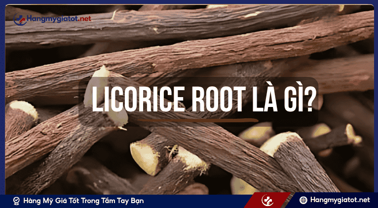 Licorice Root là gì? 