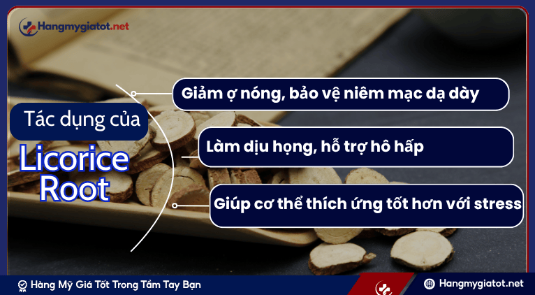 Tác Dụng Thiết Yếu của Licorice Root đối với Sức Khỏe