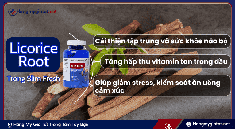 Licorice Root và Vai trò trong Công Thức Slim Fresh