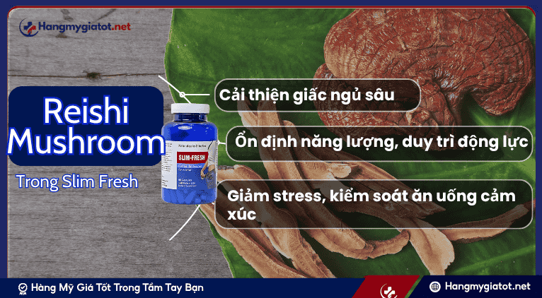 Lợi ích khi sử dụng Slim Fresh có chứa Reishi Mushroom