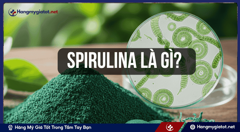 Spirulina là gì? 