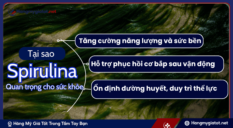 Tại sao Spirulina Quan Trọng cho Năng Lượng và Sức Bền?
