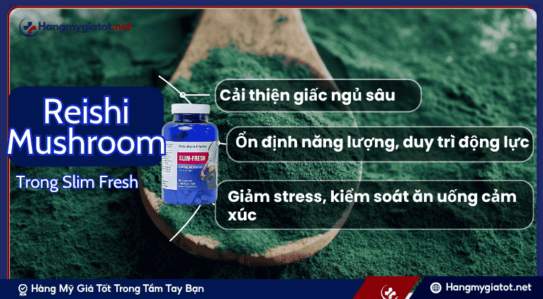 Spirulina và Vai trò trong Công Thức Slim Fresh