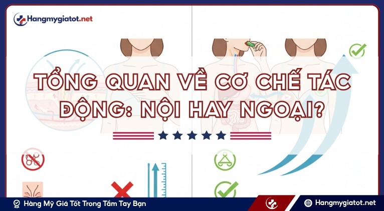 Tổng quan về cơ chế tác động: Nội hay Ngoại?