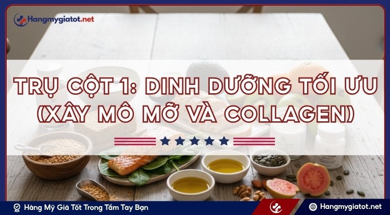 Trụ cột 1: Dinh dưỡng Tối ưu (Xây mô mỡ và Collagen)