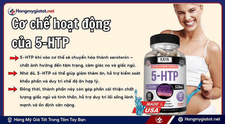 Cơ chế hoạt động của 5-HTP