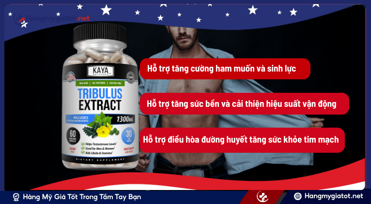 Công dụng của Tribulus Extract đối với sức khỏe và sinh lý nam