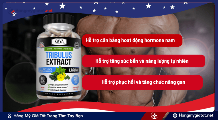 Công dụng đáng chú ý của PCT 762mg đối với sức khỏe sinh lý nam