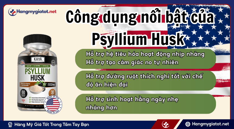 Công dụng nổi bật của Psyllium Husk đối với cơ thể