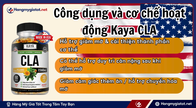 Công dụng và cơ chế hoạt động Kaya CLA