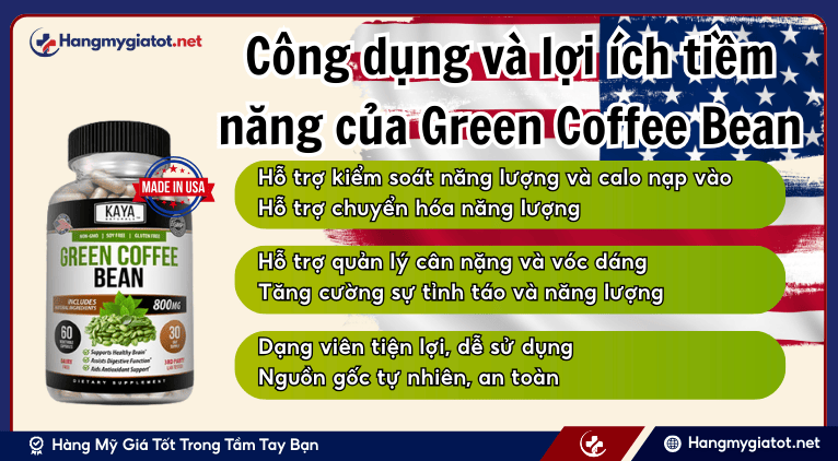 Công dụng và lợi ích tiềm năng của Green Coffee Bean 