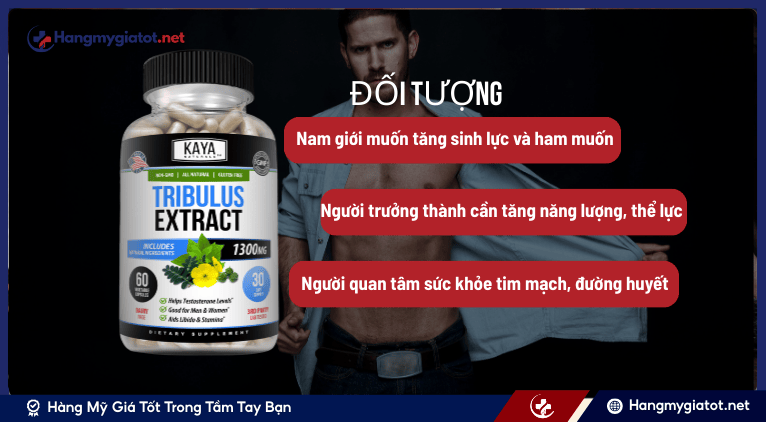 Hướng dẫn sử dụng cách dùng Tribulus 1300mg đúng cách để đạt hiệu quả tối ưu