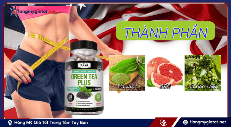 Thành phần Green Tea Plus
