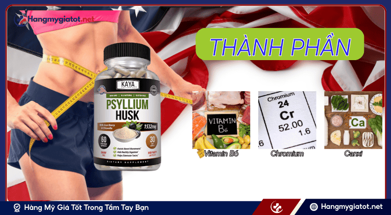 Thành phần nổi bật trong viên uống Psyllium Husk