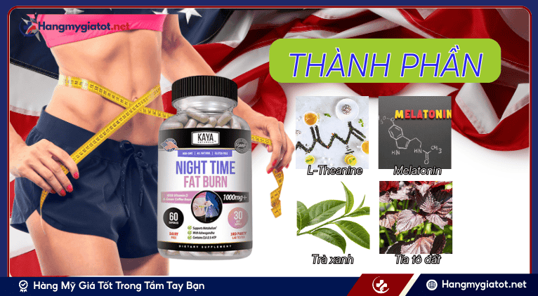 Thành phần nổi bật và cơ chế hoạt động Night Time Fat Burn