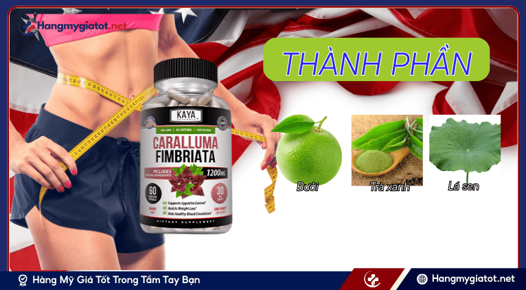 Thành phần và cơ chế hoạt động Caralluma Fimbriata