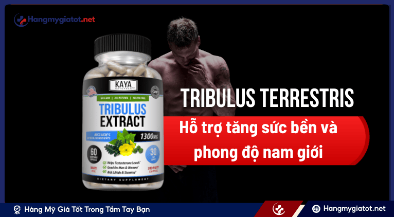 Tribulus Extract 1300mg là sản phẩm gì?