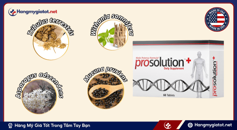 Thành phần của viên uống Prosolution+