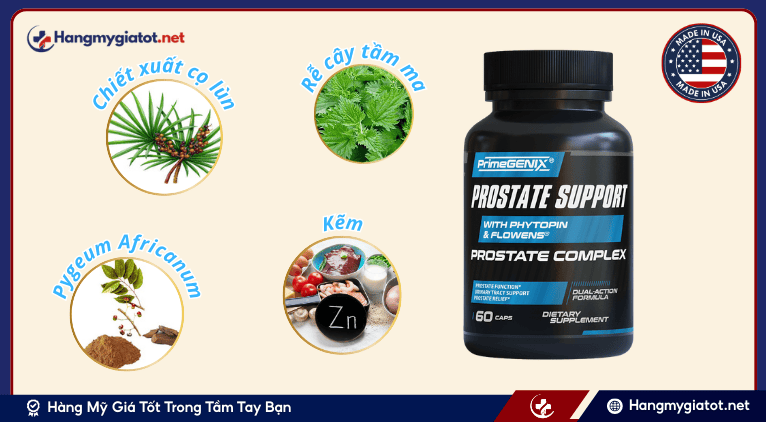 Thành phần nổi bật của viên uống prostate complex