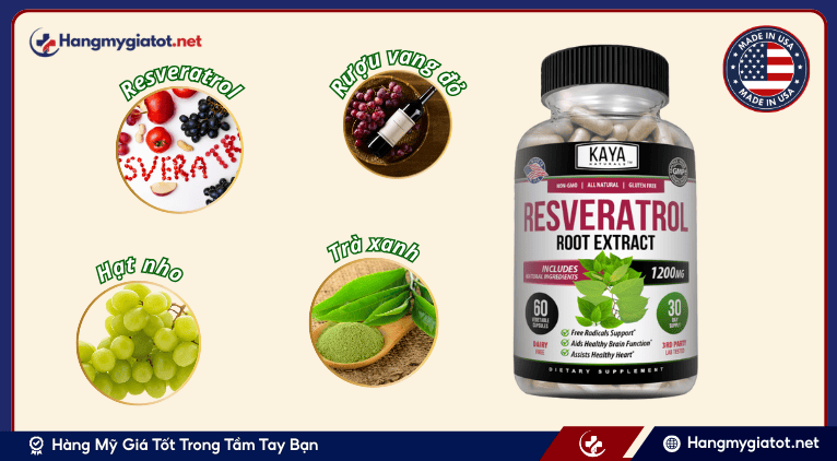 Thành phần chính của viên uống Resveratrol