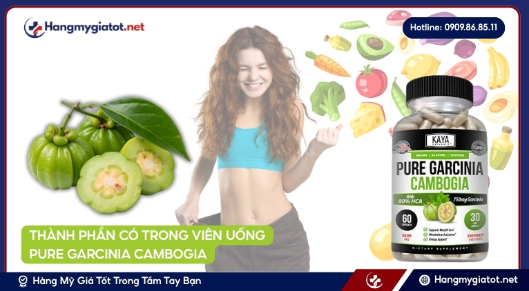 Thành phần của Pure Garcinia Cambogia