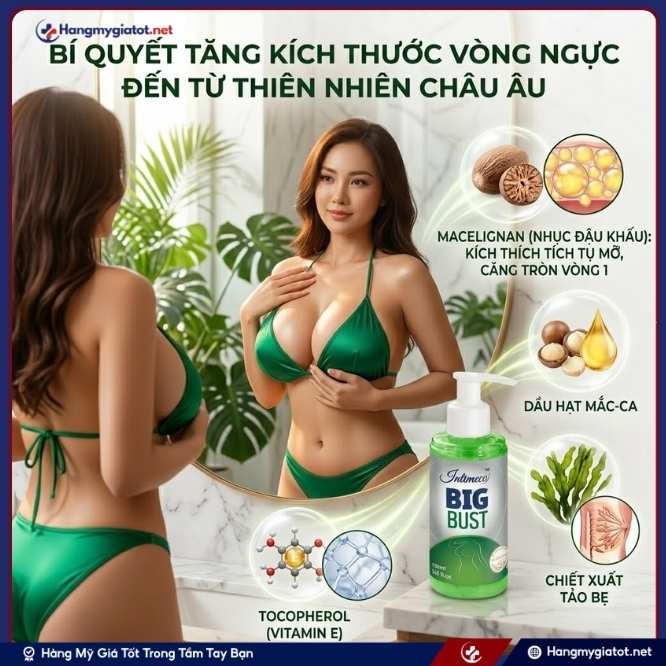 Thành phần trong gel tăng kích thước vòng ngực Big Bust 150ml
