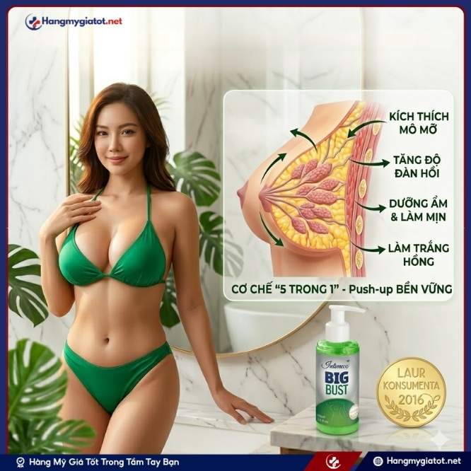 Công dụng của gel tăng vòng ngực Big Bust 150ml