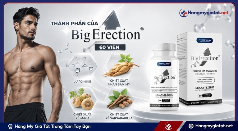 Thành phần của BigErection 60 viên