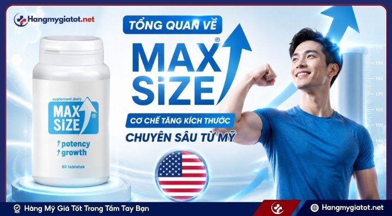 Tổng quan về MAX SIZE nhập khẩu từ Mỹ