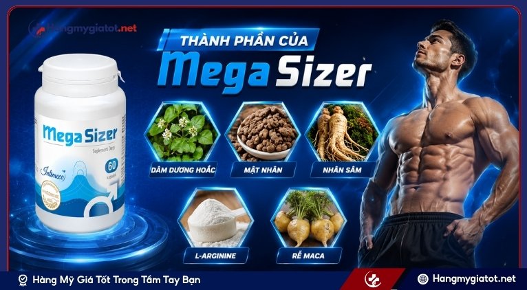 Thành phần của MegaSizer 60 viên
