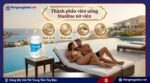 Thành phần viên uống Manline 60 viên
