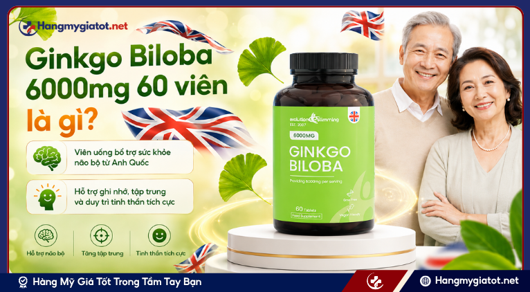 Ginkgo Biloba 6000mg 60 viên là gì?