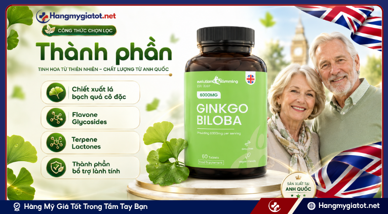 Thành phần của Ginkgo Biloba 6000mg 60 viên