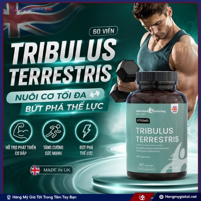 Tổng quan về Tribulus Terrestris 60 viên