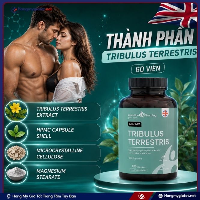 Thành phần tinh khiết trong Tribulus Terrestris 60 viên