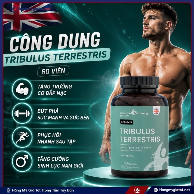 Công dụng của viên uống tăng cơ Tribulus Terrestris 60 viên